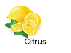 Citrus essential oil