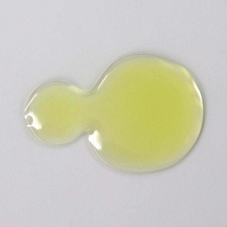Beautitionary pumpkin oil face serum